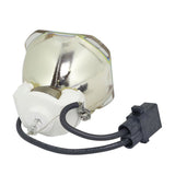 ELPLP62_DUP1_01.jpg