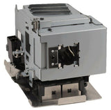 PRX-41229014_1.jpg