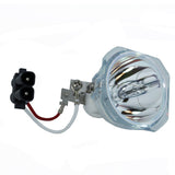 SP-LAMP-026_DUP1_01.jpg