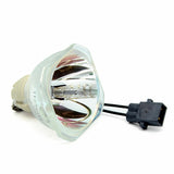 PROL-50149596_2.jpg