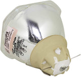 PRX-ELPLP97_DUP1_01.jpg