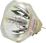 PRX-ELPLP97_DUP1_02.jpg