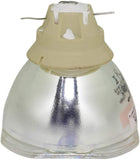 PRX-ELPLP97_DUP1_03.jpg